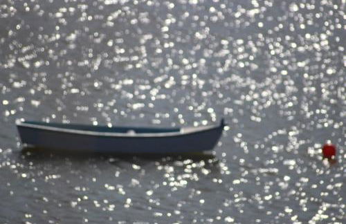 Herdade d'Amoreira Rosmaninho Studio - Foto 53