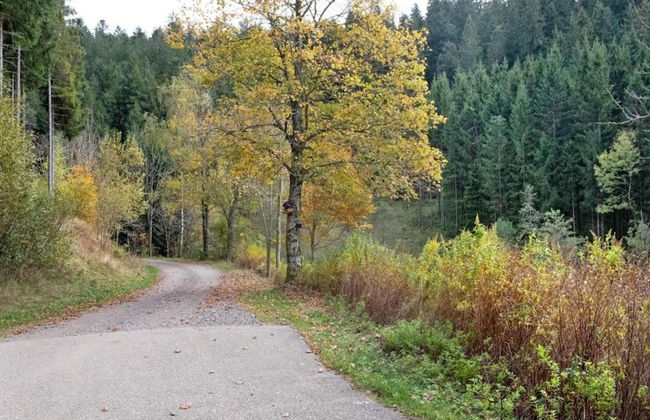 Apartment in Kleines Wiesental - Foto 35