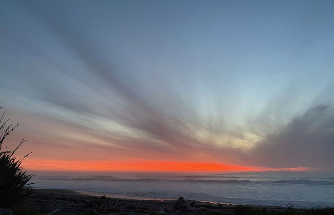 Ross Beach TOP 10 Holiday Park - Foto 71