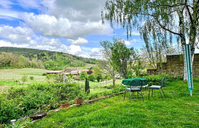 Am Weinberg - Foto 13