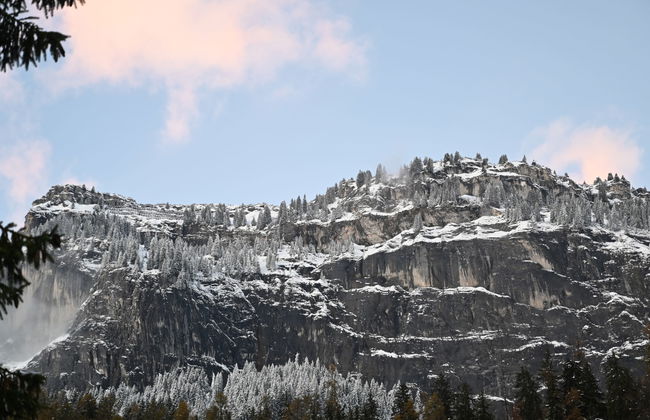 Girun Eder - Foto 29