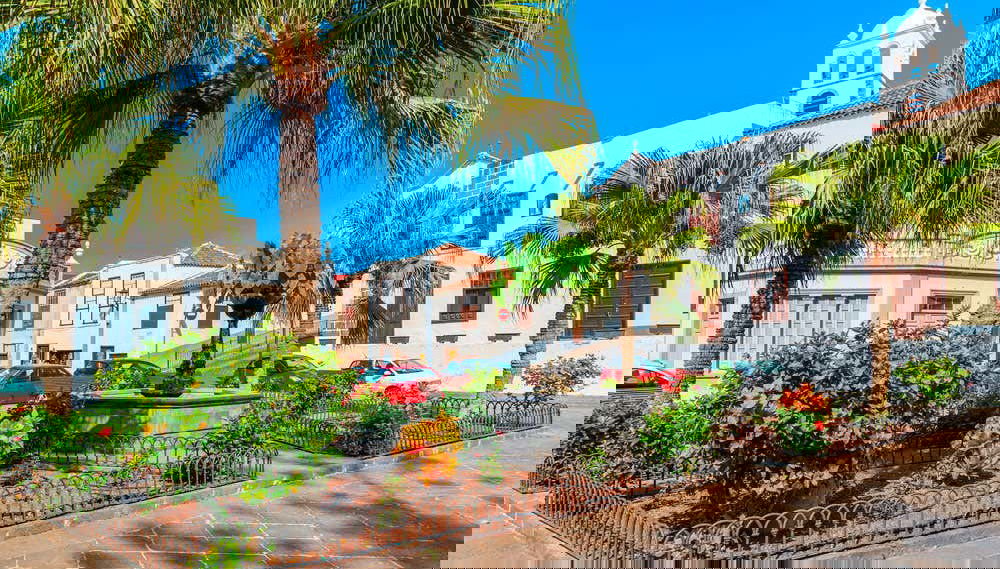 Tour dell'isola di Tenerife dal sud - Foto 1