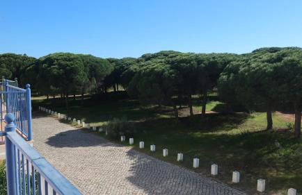 Casa Bambu, Paraiso na Terra - Foto 39