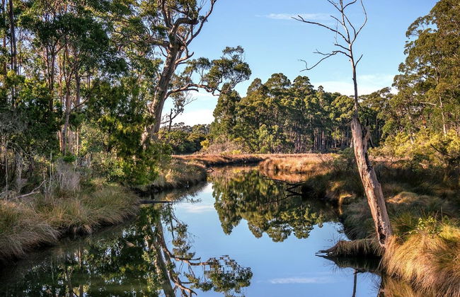 Saintys Creek Cottage - Foto 18