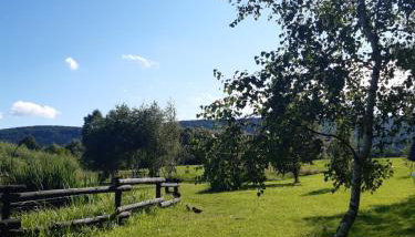 Bies Czadowy Zakątek - Foto 5, Garden