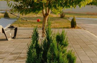 Lika Relax and Party House with sauna, jacuzzi and outdoor heated swimming pool - Foto 61