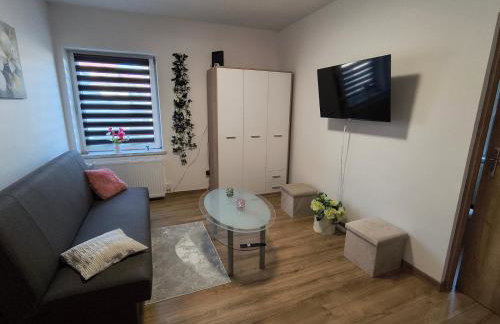 Mazury Apartament Nad Drwęcą - Foto 1
