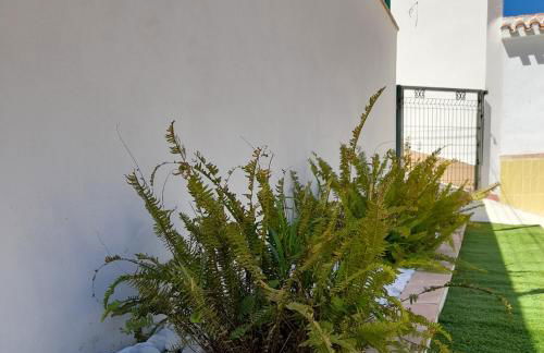 Alojamientos Rurales Villora - Foto 14