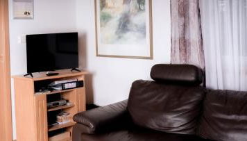 Erholung am Ginkgobaum - Foto 2