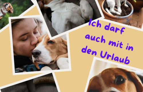 Sehr beliebt! Ferienhaus zur Donau - Foto 15