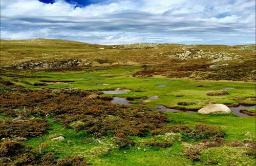 Grande Villa, Corse du Sud, Domaine privé de Cala Rossa - Foto 30
