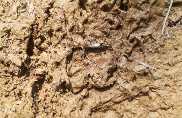 Ruralna kuća za odmor Pozojova hiža - Rural Holiday House - Foto 10