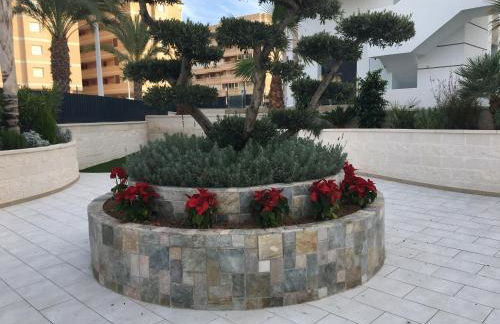 Luxury Appartement Alicante Los Arenales Del Sol, Near Beach, Large Solarium, Full Equipement - Foto 24