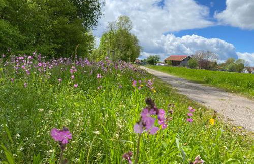 Landhaus Lindenberg - Foto 46