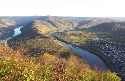 Ferienhaus am Flaumbach - Foto 37
