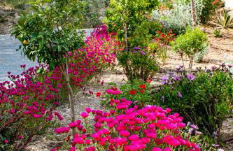 Le Clos des Eucalyptus - Foto 55