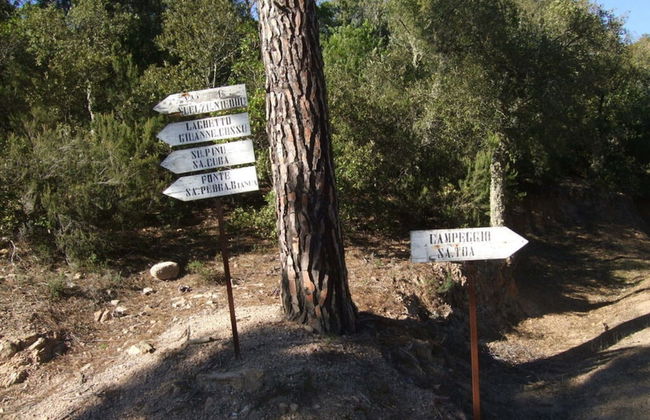 Casa Felicita Comfortable Holiday Residence - Foto 24