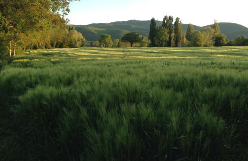 Agriturismo Il Mulino del Vescovo - Foto 51