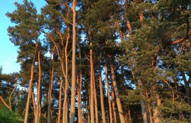 Glenfeshie Hostel - Foto 10