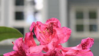 Moderne Wohnung im skandinavischen Stil am Waldrand - Foto 4, Garden