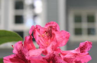 Moderne Wohnung im skandinavischen Stil am Waldrand - Foto 4