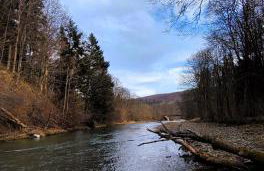 Ostoja Mików - Foto 20