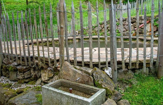 Infanglalm "traunsee" - Foto 21