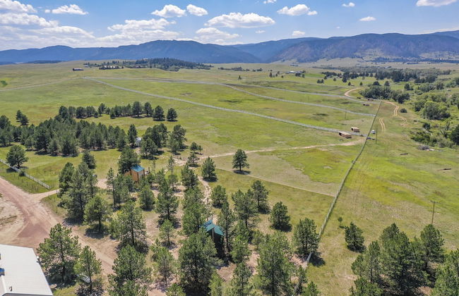 Tree Eagles Nest - Foto 38