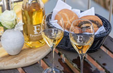 Erasmus 1901 Apartments - Foto 4