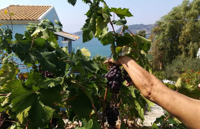 Agios Georgios - 2 Beds - Sleeps 5 - Free Parking - Foto 27