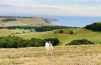 The Lookout - Photo 20