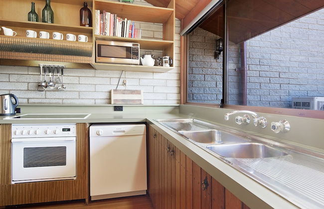 Grey Kangaroo- On Lake Jindabyne foreshore - Foto 10