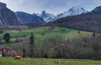 La Casa de la Vega - Foto 56