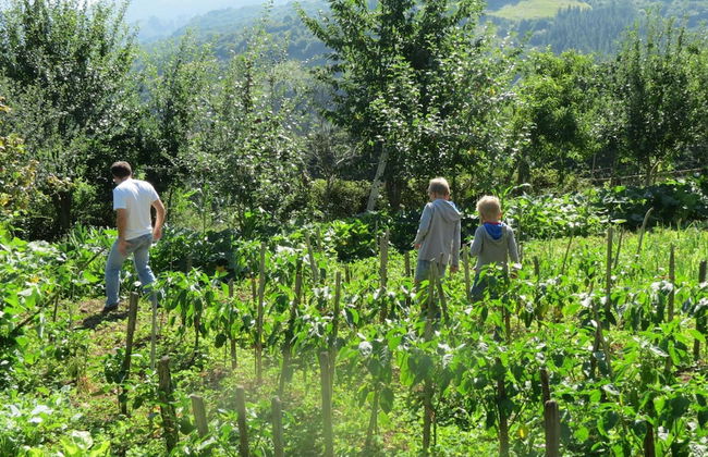 Agroturismo La Casona de Belmonte - Foto 47