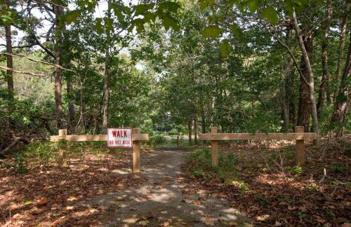 Dogs welcome huge yard right next to Rail Trail - Foto 33