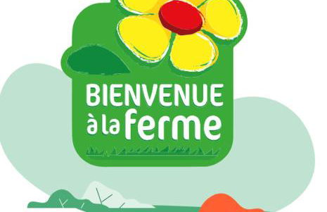 appartement gites a la ferme - Photo 13