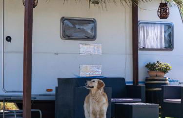 Hauzify I Mas Blau - Foto 10