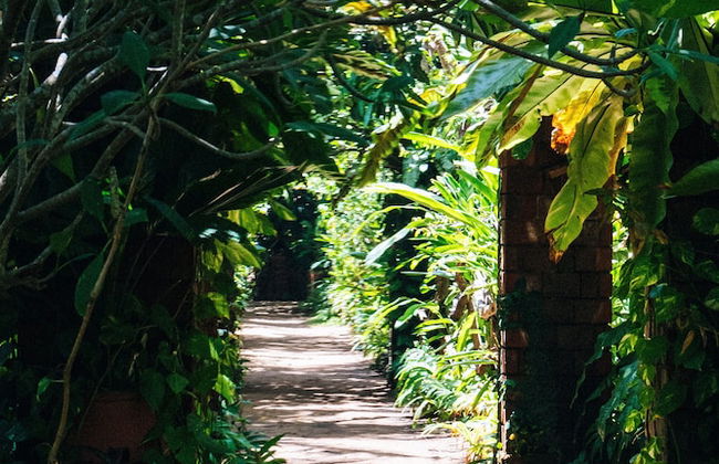 Surf N Sun - Foto 36