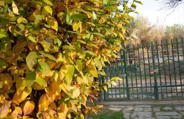 Casa di Bimba - Photo 20