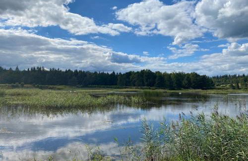 Holiday Hill Karpnki, Domki z sauną, balią i jacuzzi na wyłączność - Foto 33
