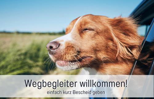 Schöne, ruhige Stadtwohnung, Küche, SmartTV, 1-5 Pers - Foto 22