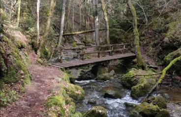 Ferienwohnung Schwarzwaldglück - Foto 45