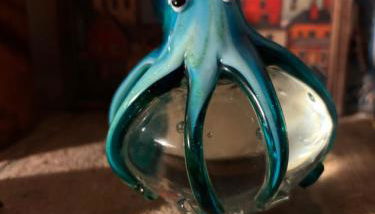 Il polpo blu - Foto 3