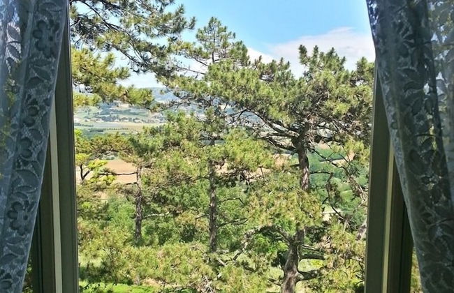 Il Castellaro Country House - Foto 24