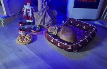 Chatka eden - Foto 6