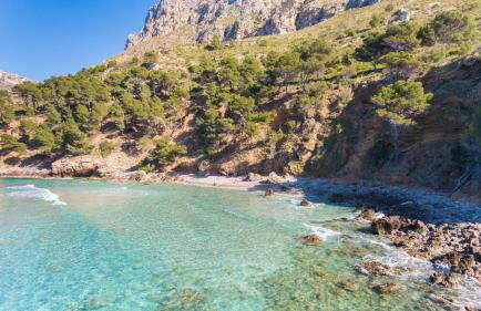 Petit Artà - Foto 43