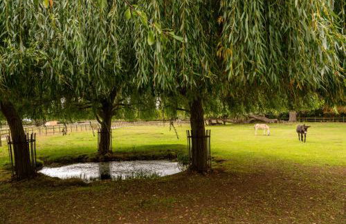 Family Cotswolds Cottage Farm Stay - The Smythy - Foto 79