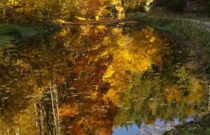 Landhaus am Schloss - Foto 52