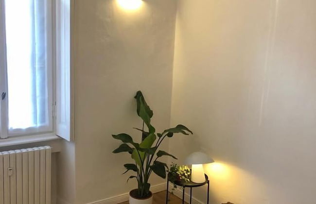 BnButler - Guercino 8 - Photo 12