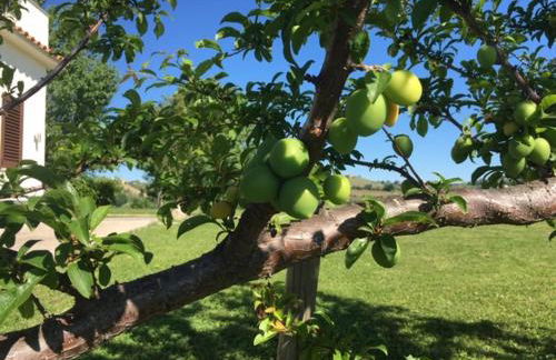 Casa Belfi - Foto 32